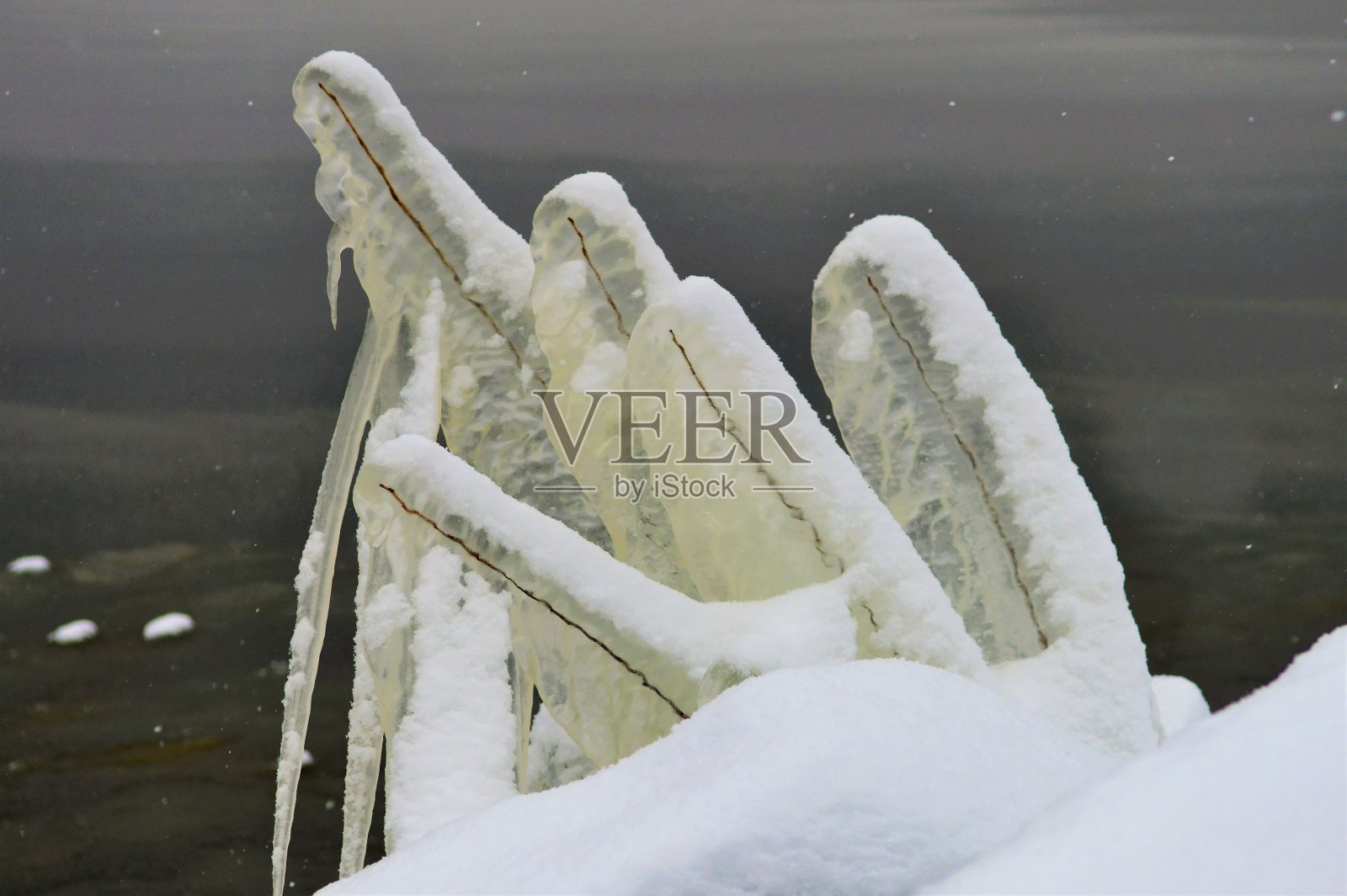 冻雨照片摄影图片