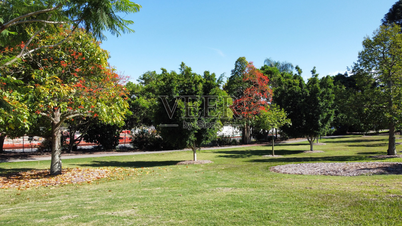 绿色风景公园照片摄影图片