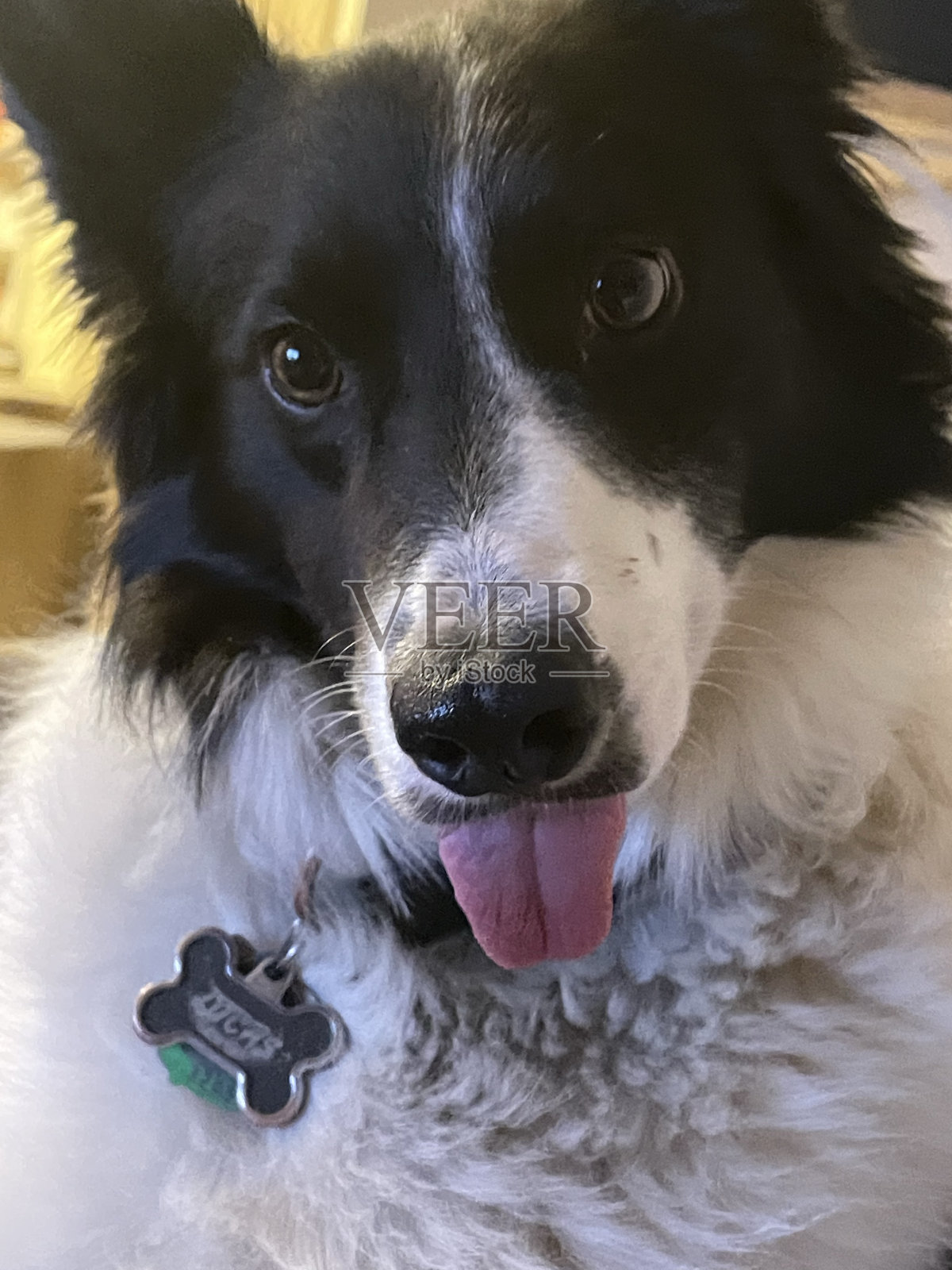 黑白两色照片摄影图片