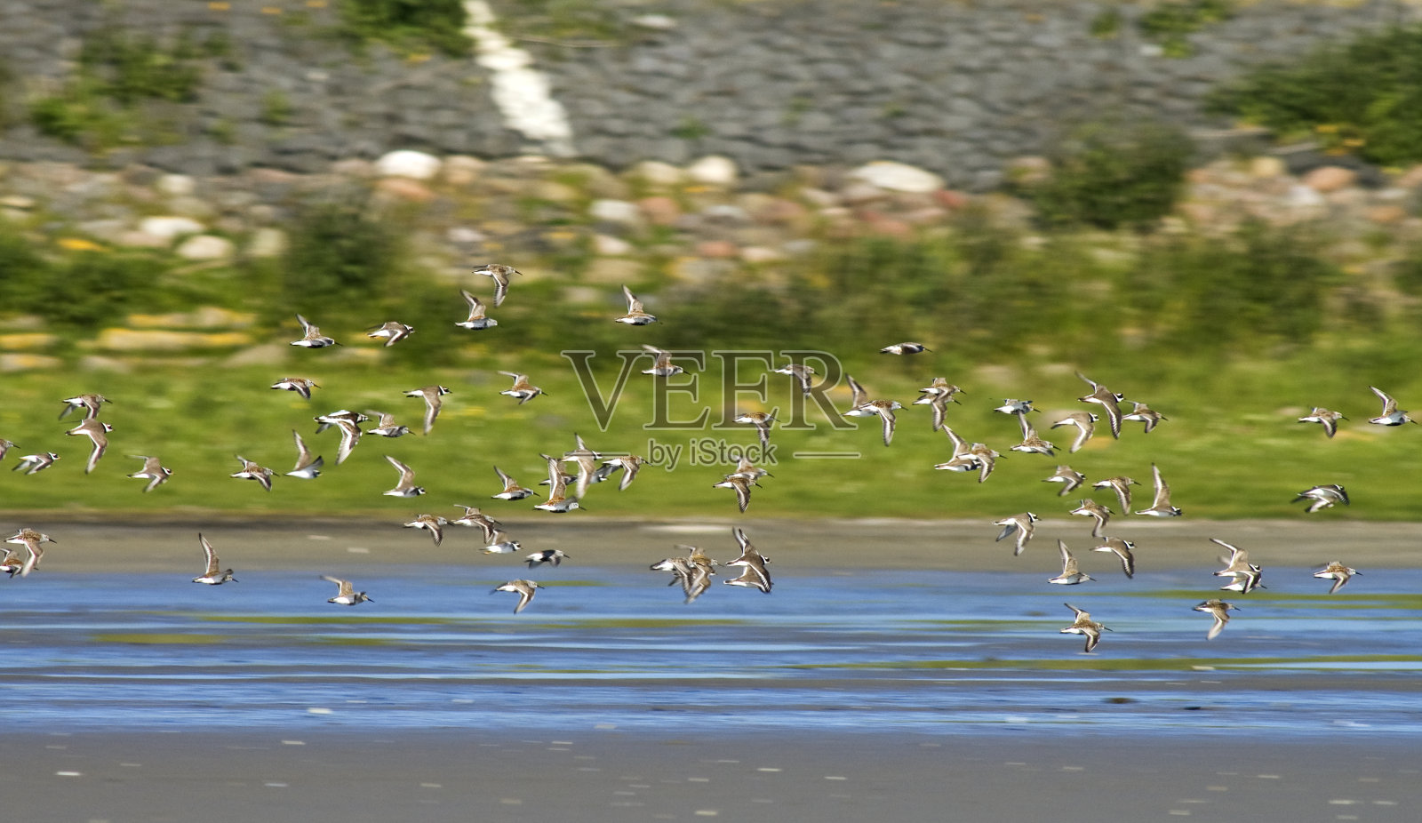 - 邦特斯特兰德洛珀、邓林、卡利德里斯高山照片摄影图片