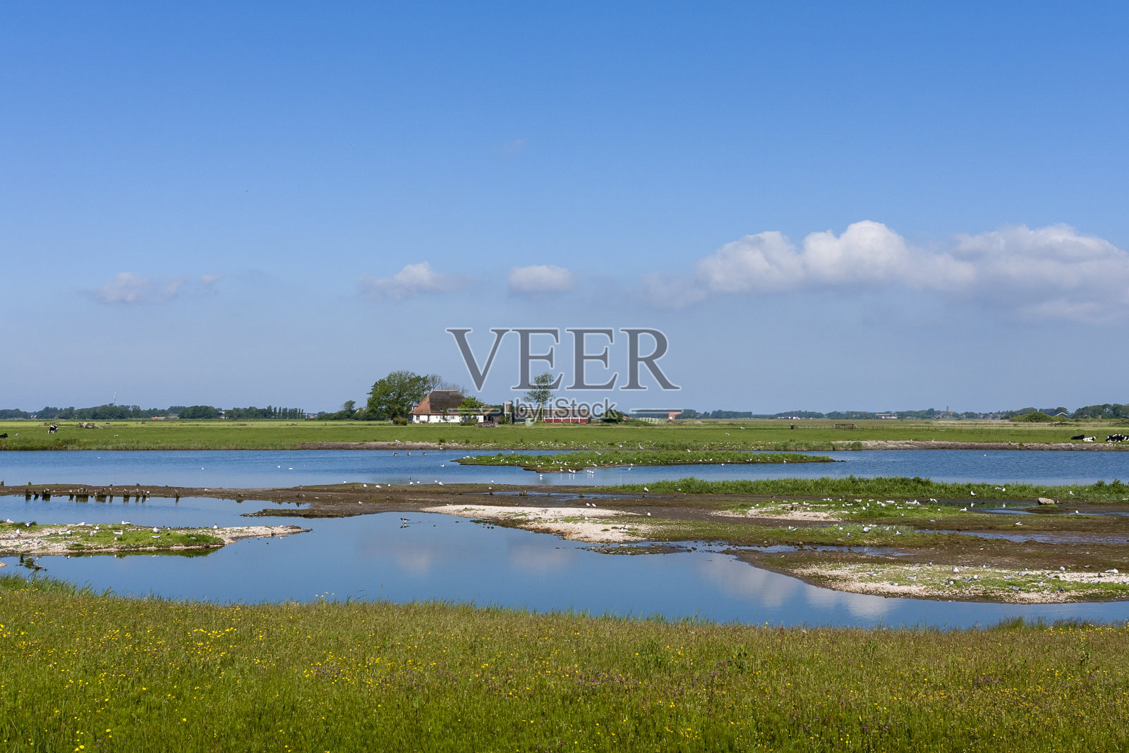Texel景观照片摄影图片