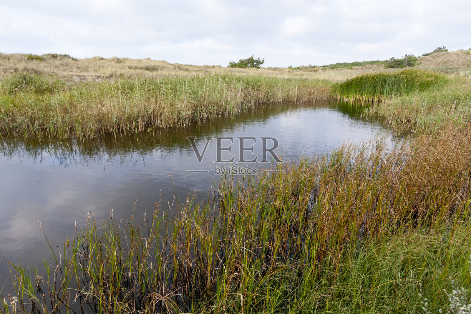 利兰的风景，利兰的风景照片摄影图片