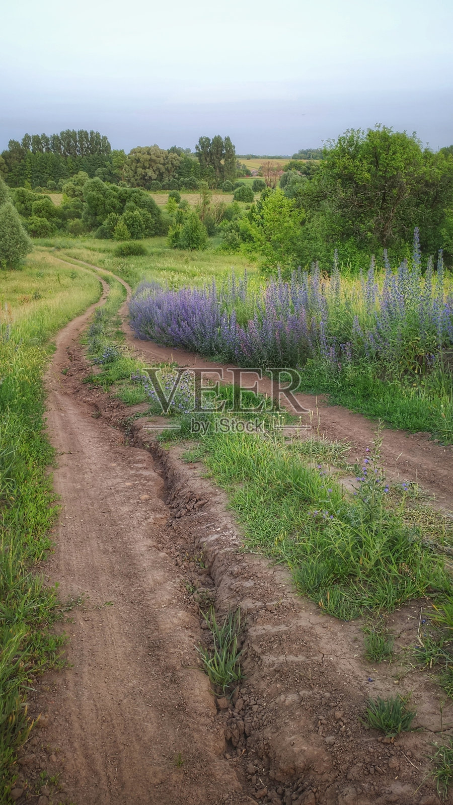 景观照片摄影图片