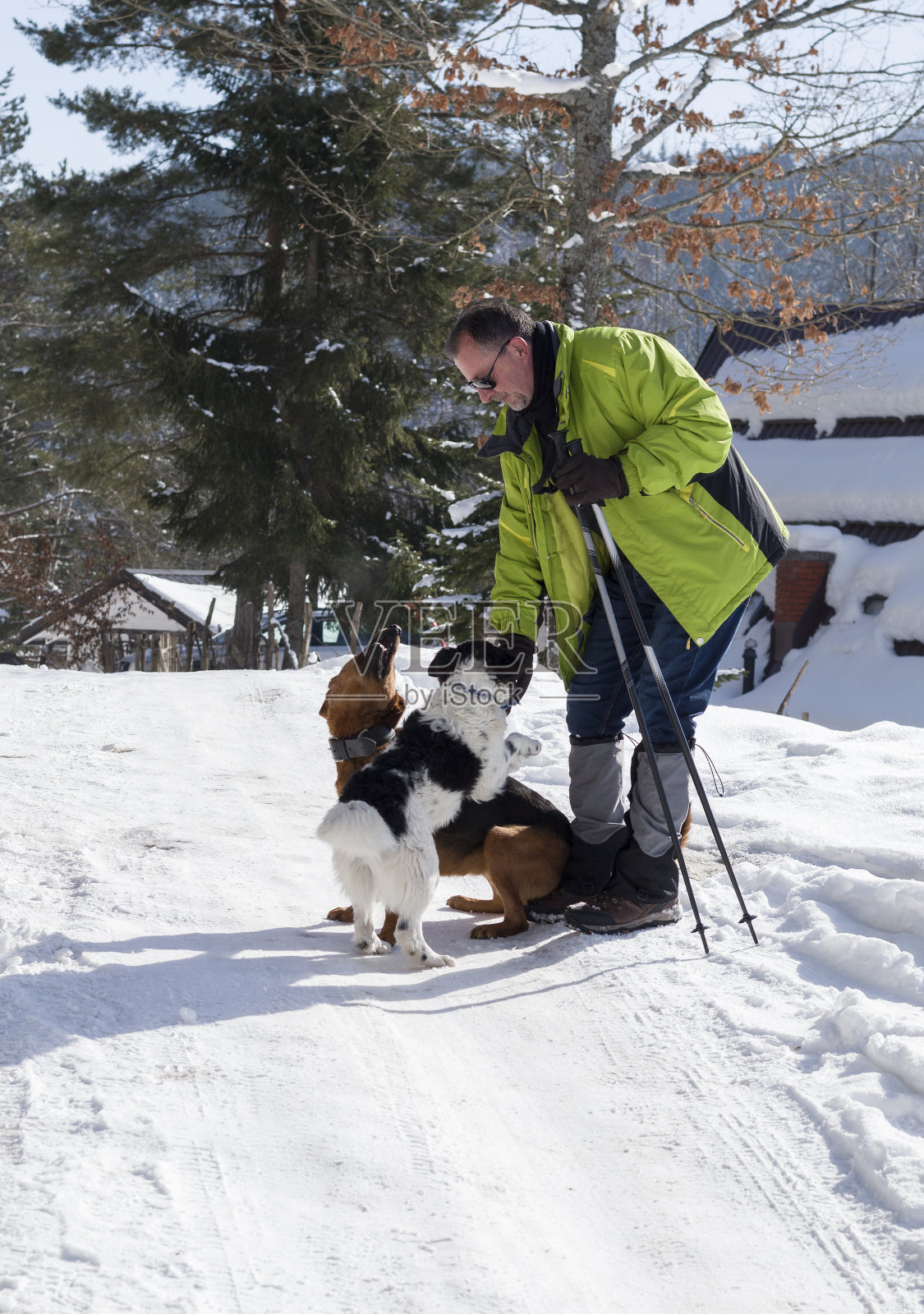 在山上享受阳光明媚的冬日。照片摄影图片