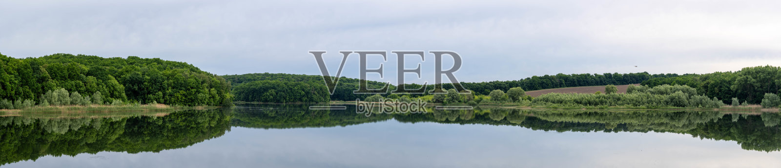 宽阔的湖泊被茂密的森林环绕，还有令人难以置信的野生动物照片摄影图片