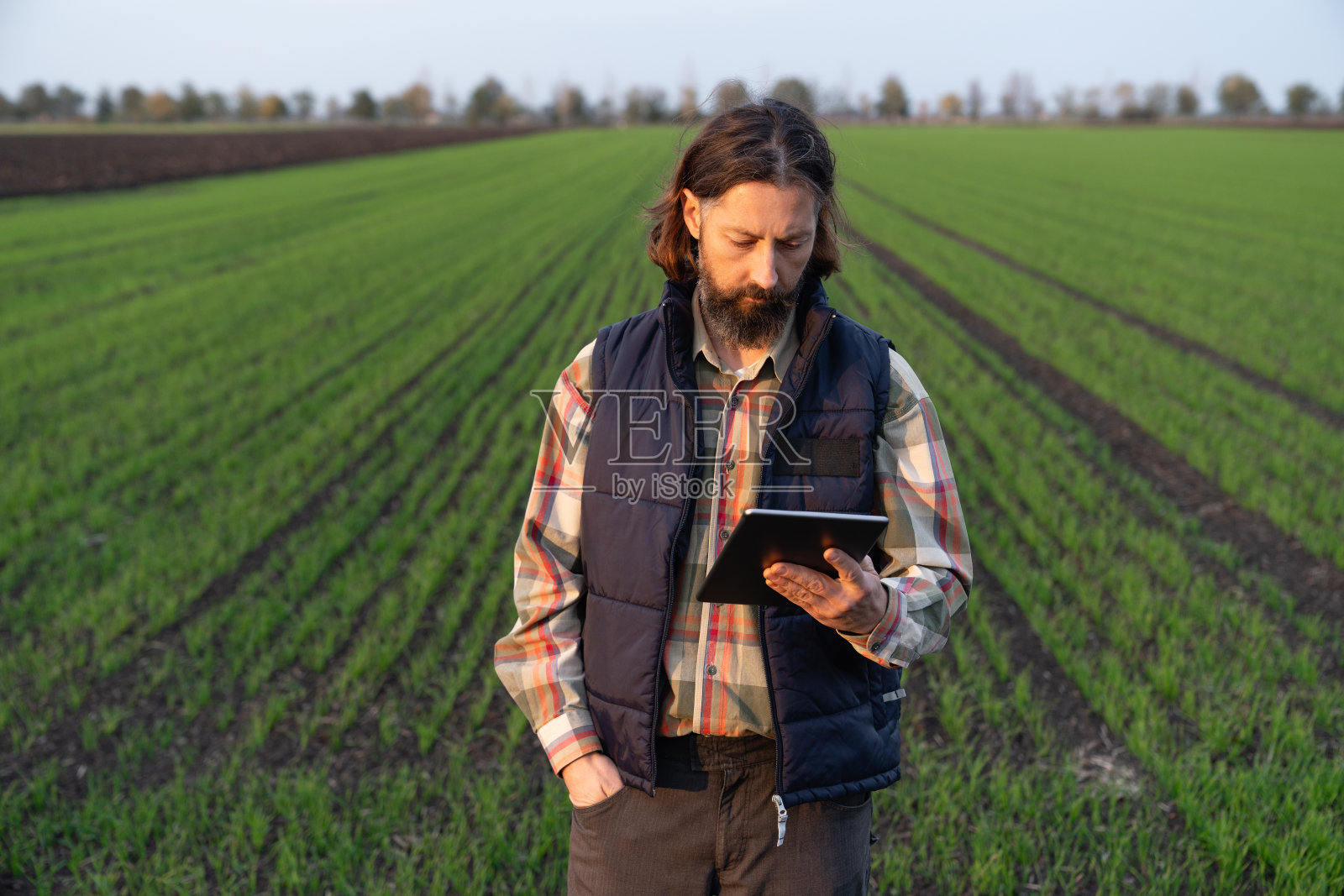农民与数字平板电脑在田里。照片摄影图片