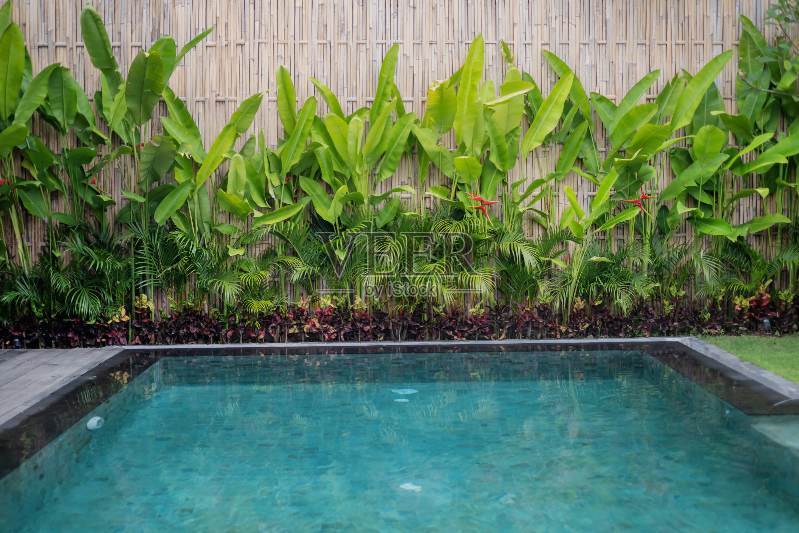 私人度假别墅游泳池照片摄影图片