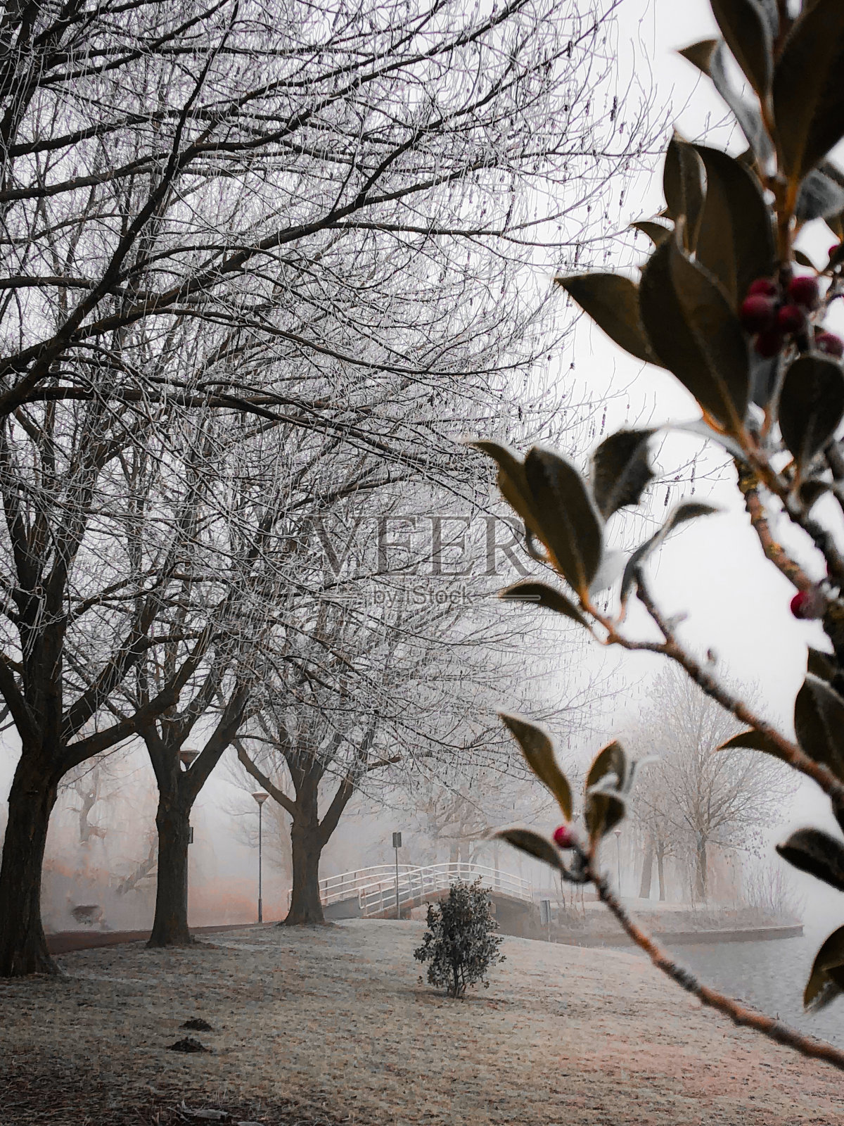 迷雾公园日照片摄影图片