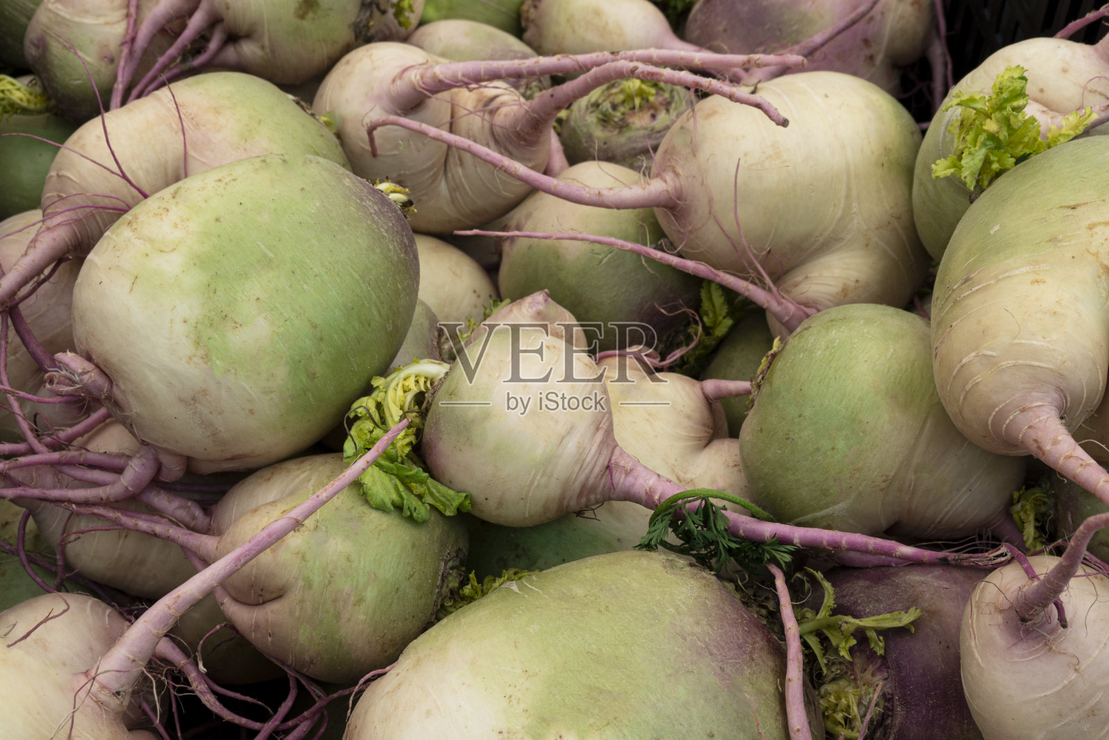 农贸市场的有机西瓜萝卜特写照片摄影图片
