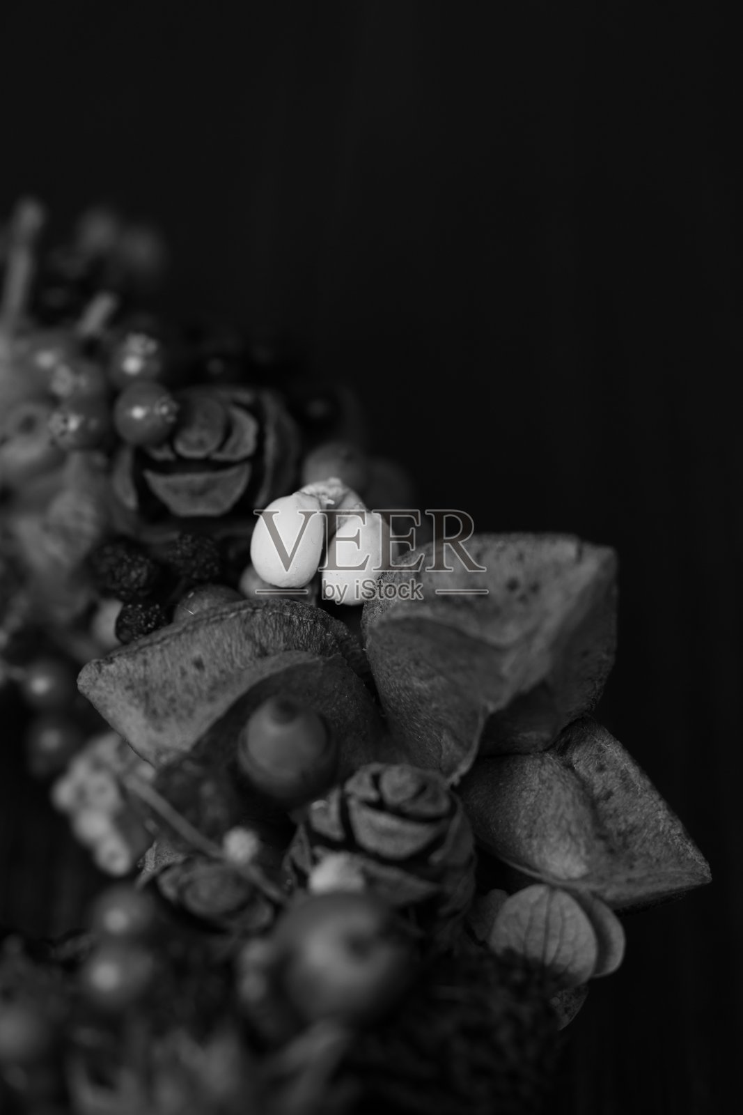 单色的秋冬花环与许多坚果照片摄影图片