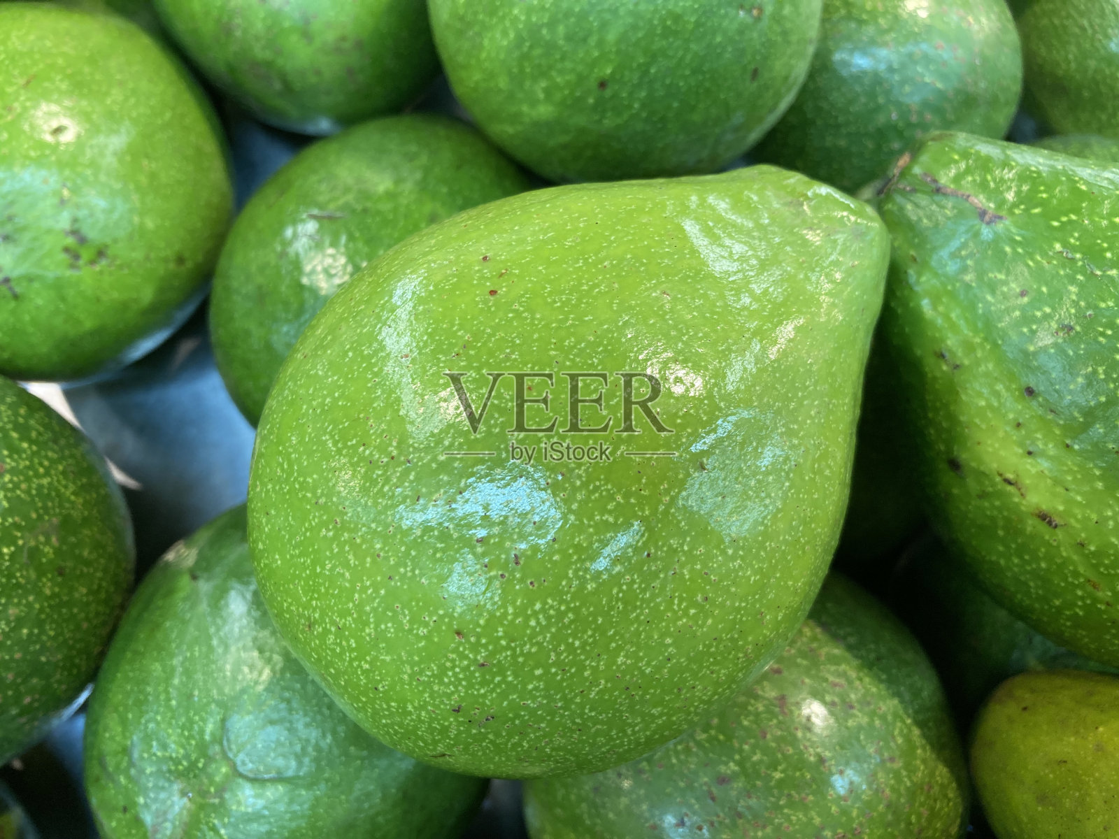 大鳄梨在篮子里照片摄影图片