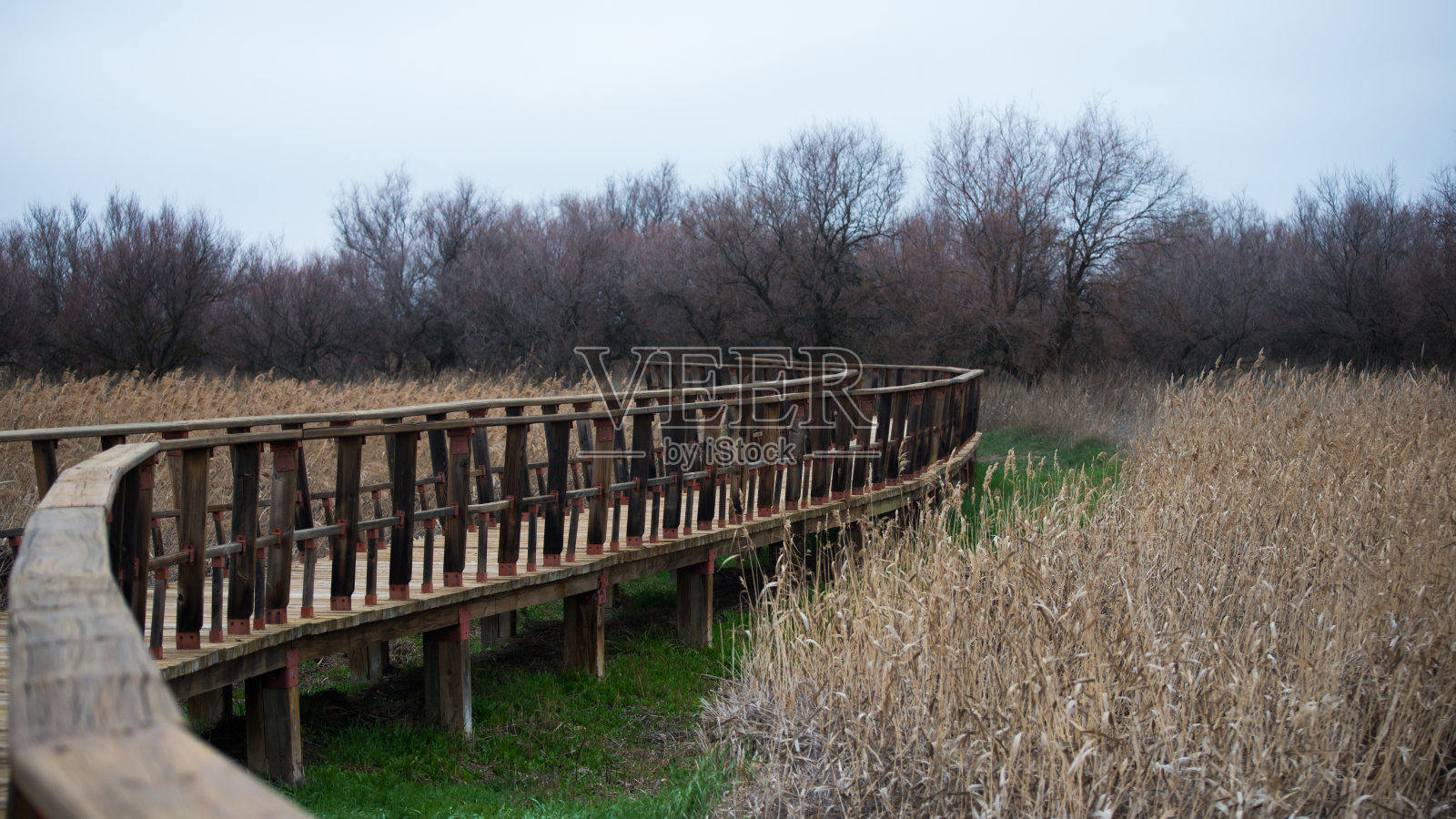 国家公园的冬天。严重干旱，公园里没有水照片摄影图片