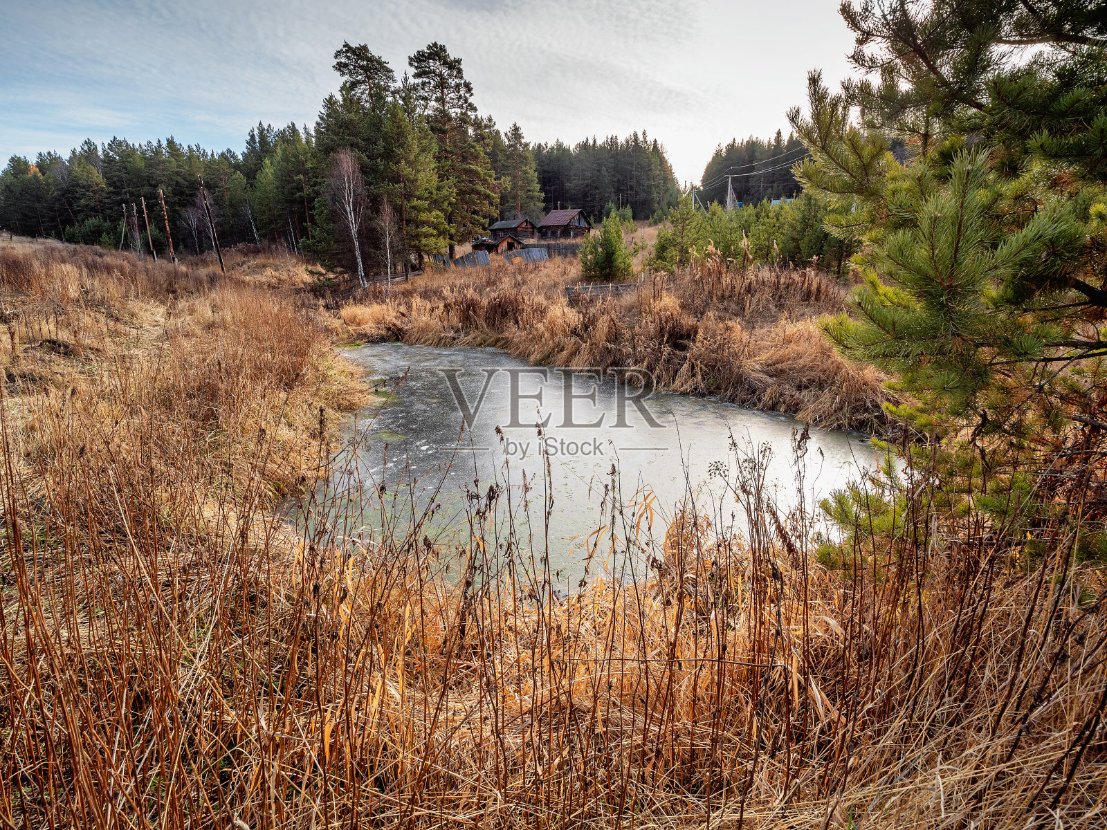 乌拉尔南部的秋天，森林中间的一个小池塘被冰覆盖着。照片摄影图片