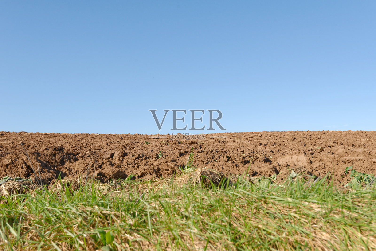 德国的一片田野照片摄影图片