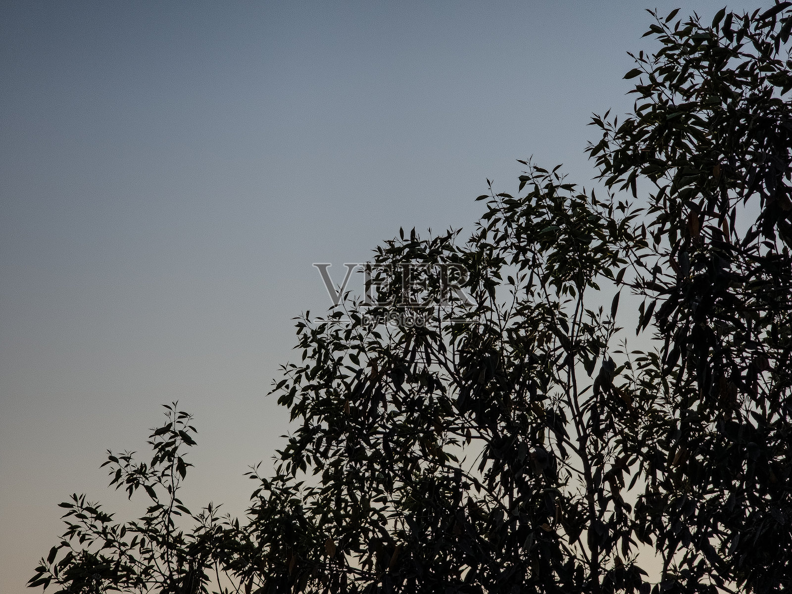 夜空梯度照片摄影图片