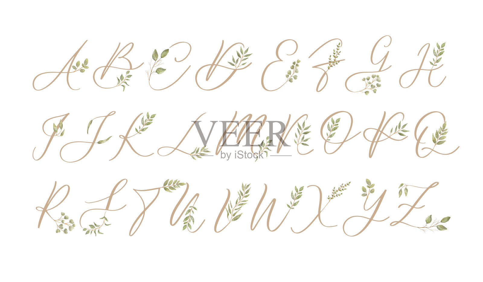 风格化的植物书法字体和字母矢量。插画图片素材