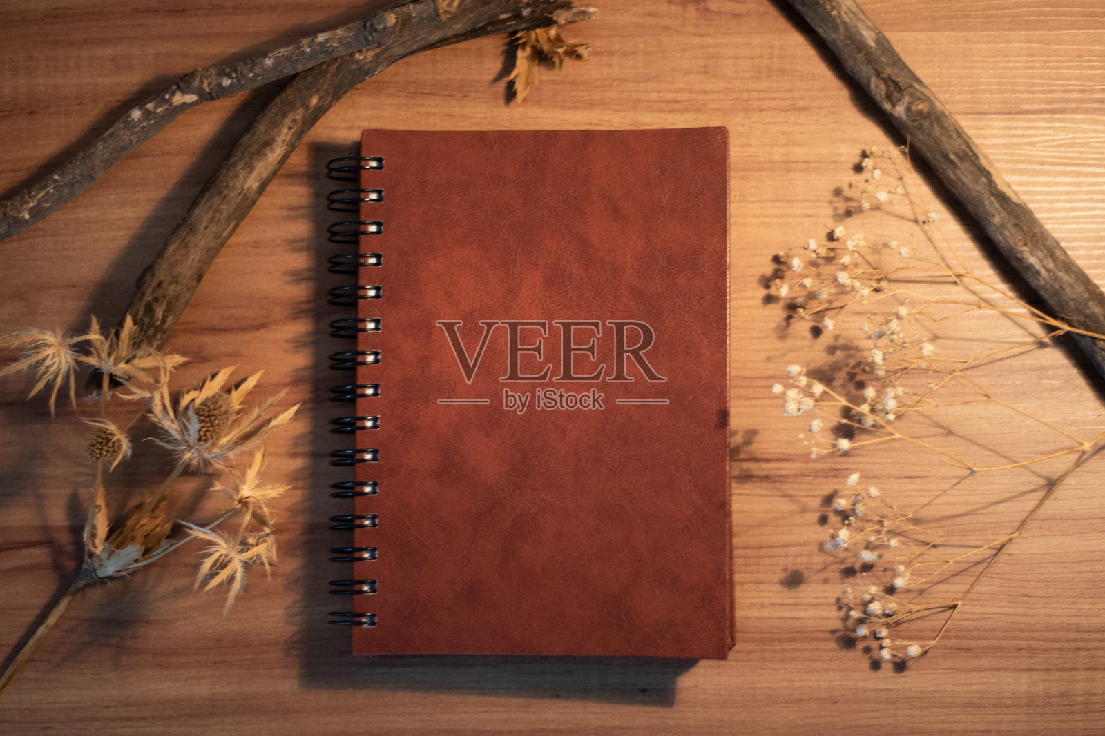 珍贵的旧书概念照片摄影图片