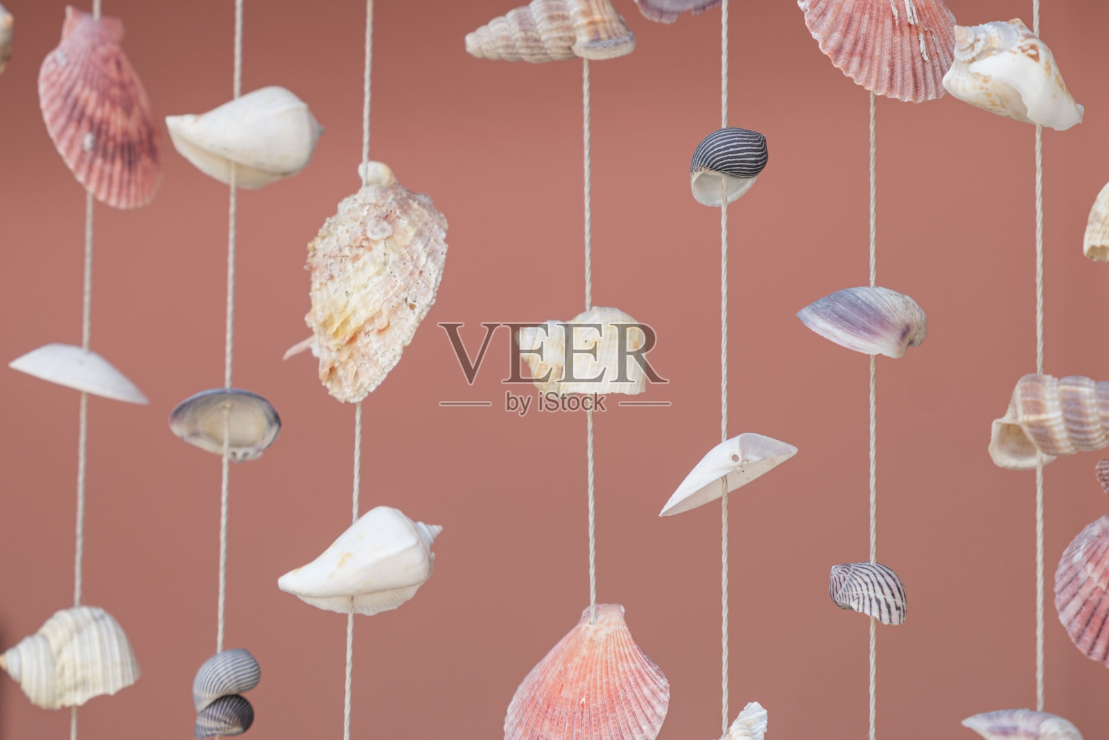 用贝壳串在线上制成的装饰窗帘照片摄影图片