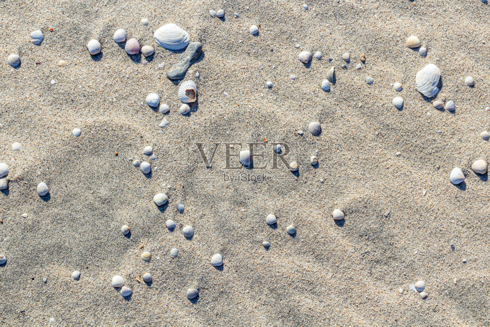沙滩上的贝壳。夏日海滩背景。俯视图照片摄影图片
