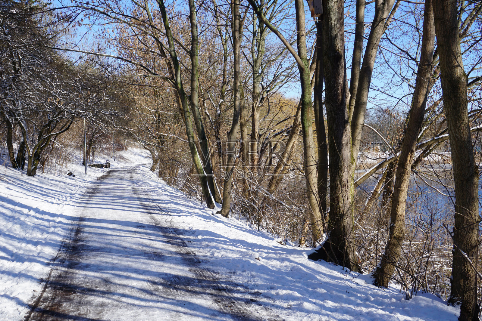 冬天，湖边公园里的巷子照片摄影图片
