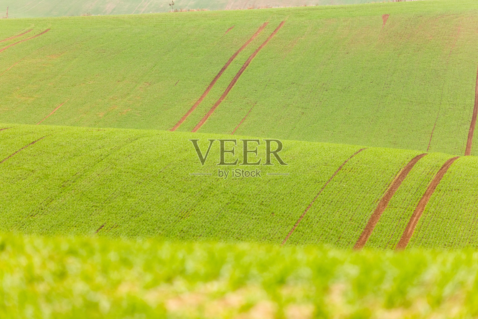 风景优美的绿色乡村景观照片摄影图片