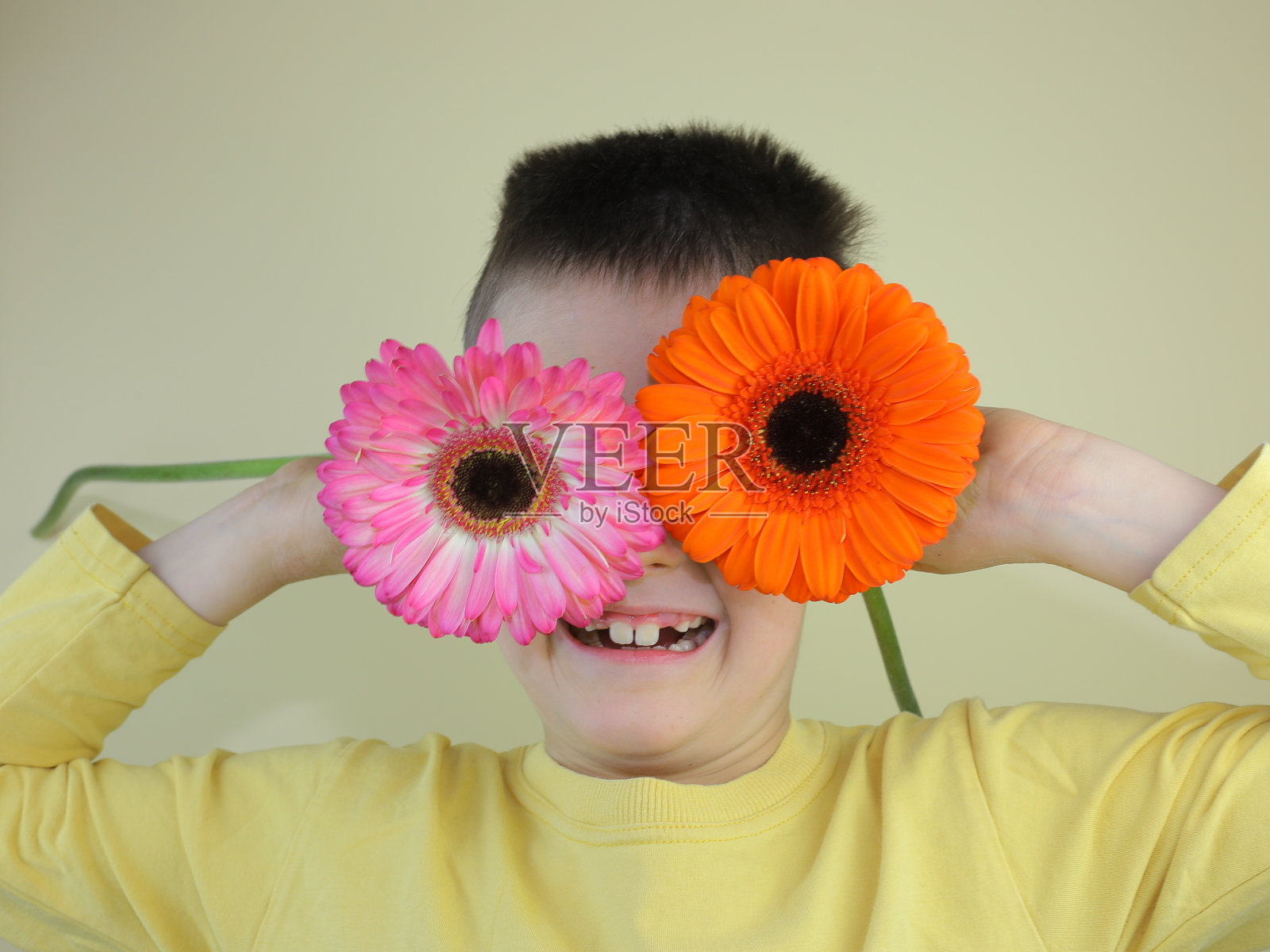 滑稽微笑的白人小孩在眼前捧着两朵菊花照片摄影图片