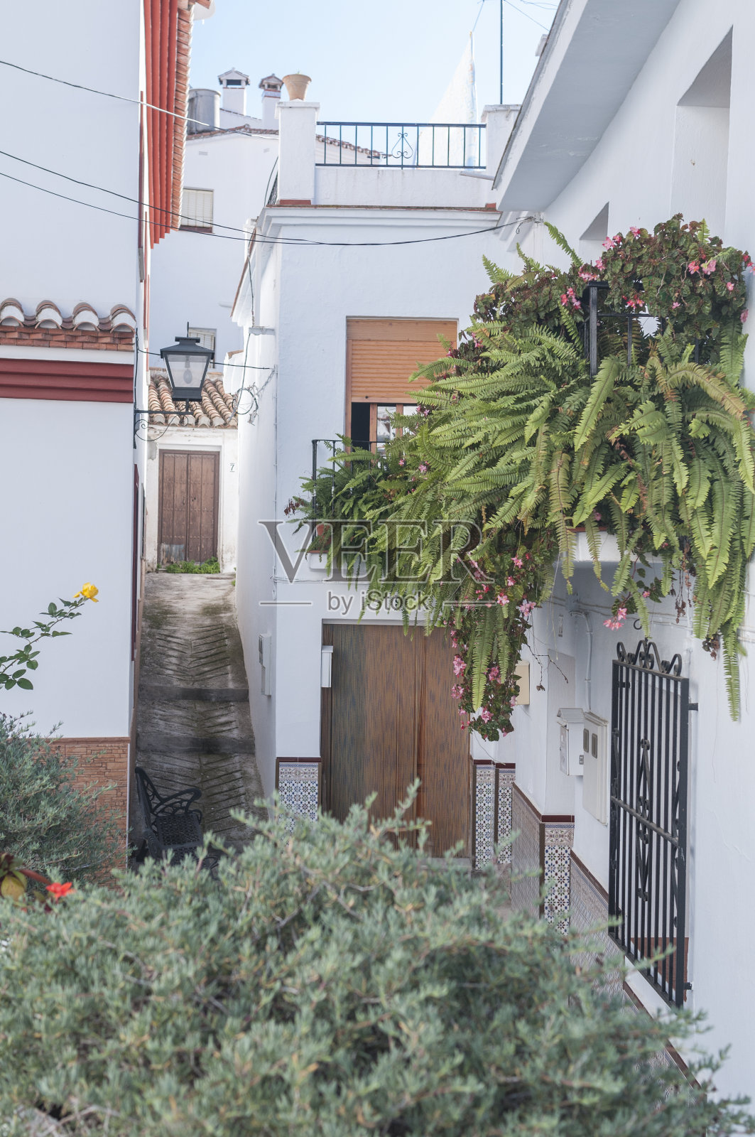 垂直镜头的一个院子在La Axarquia马拉加，西班牙照片摄影图片