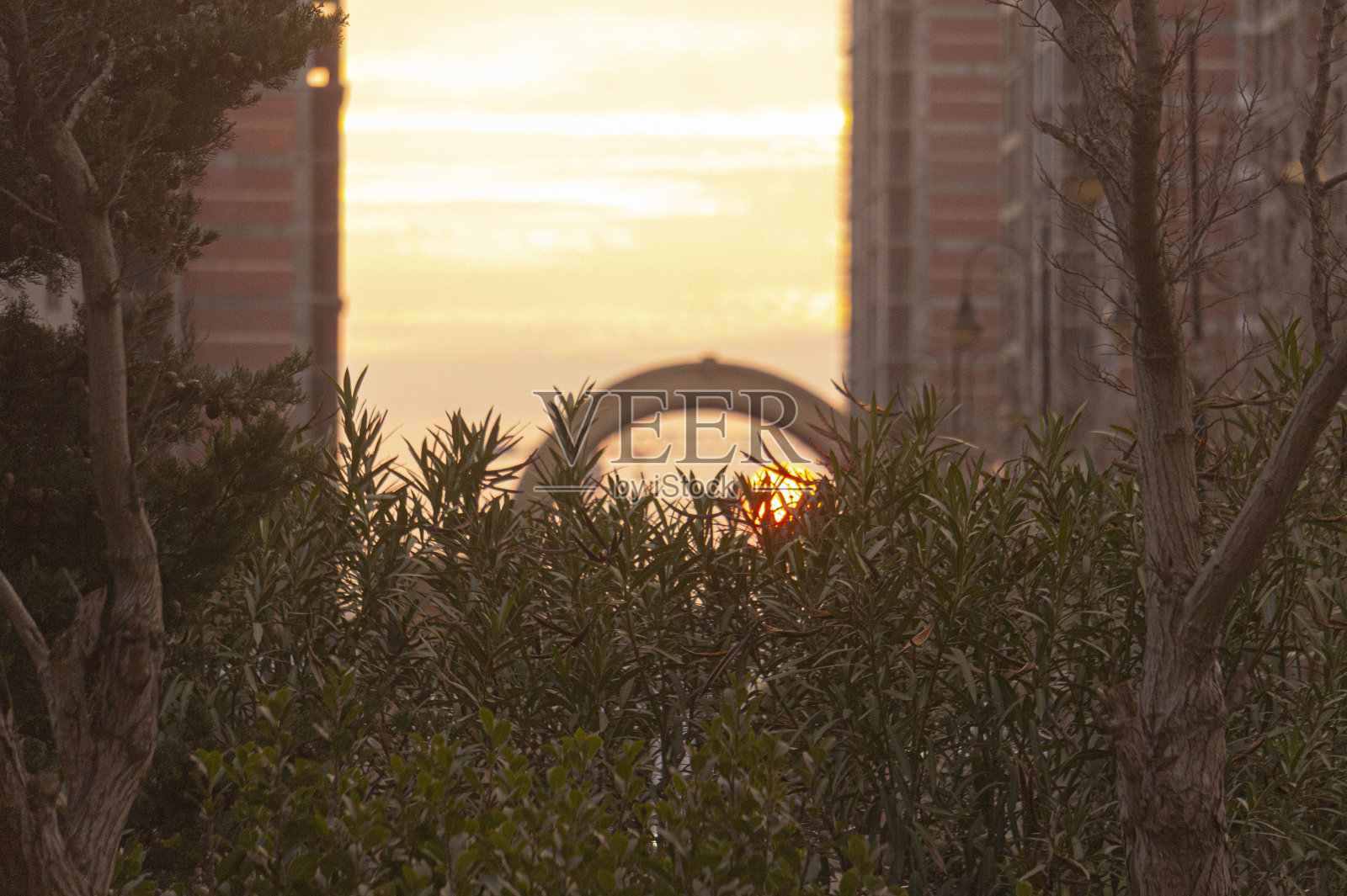 柔和色彩中的城市日落照片摄影图片
