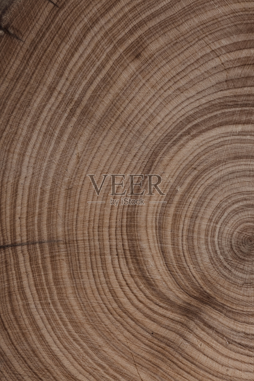 纹理背景的精细自然实值视图。照片摄影图片