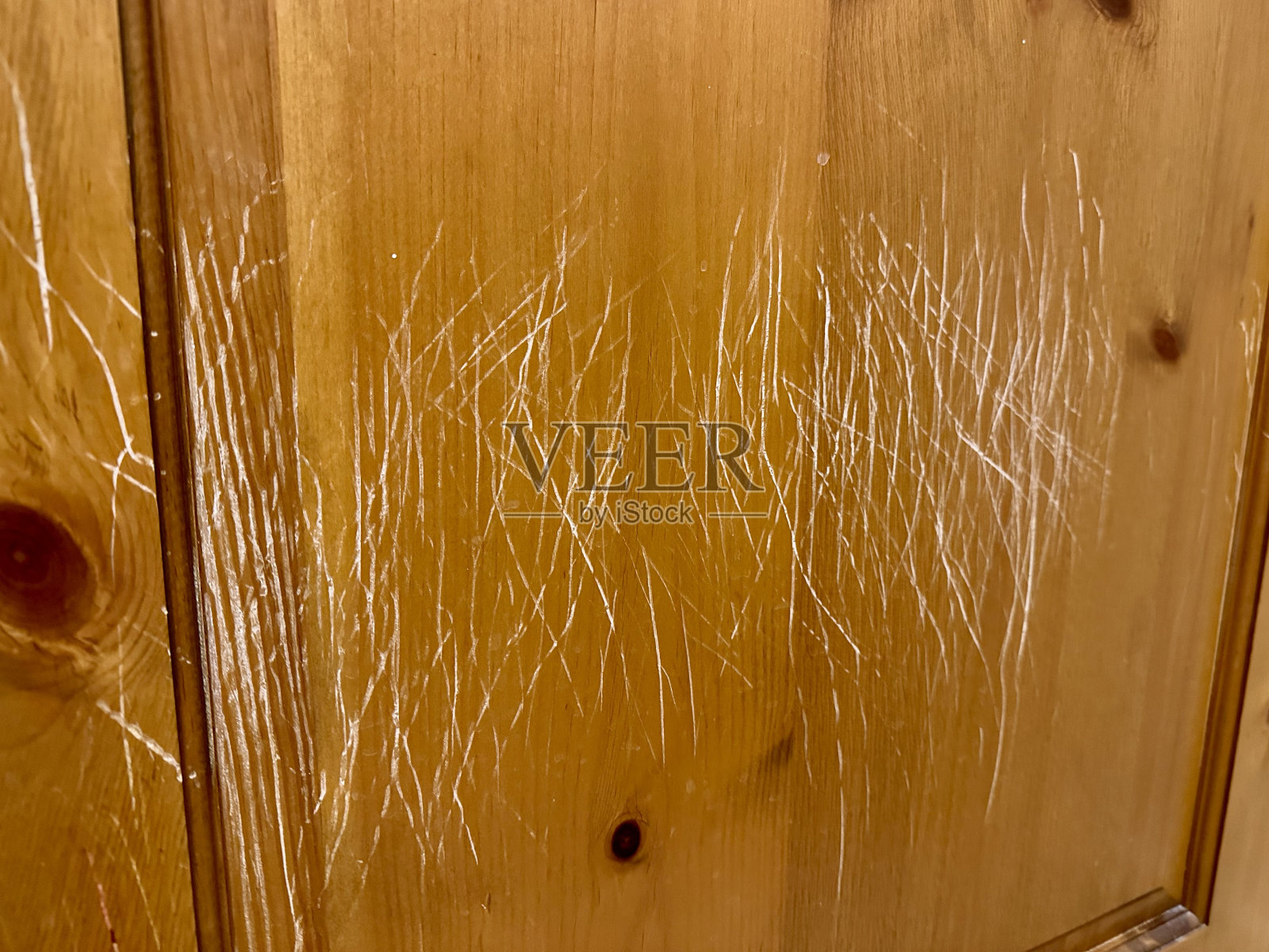 宠物伤害，刮伤门照片摄影图片