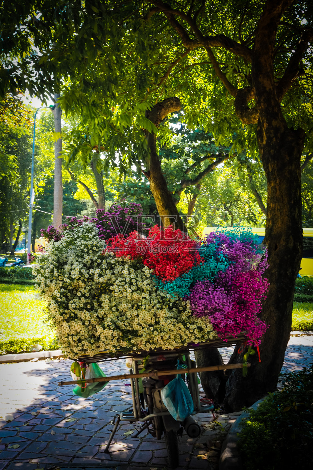 Flowers sales on bicycle in a park in Hanoï照片摄影图片