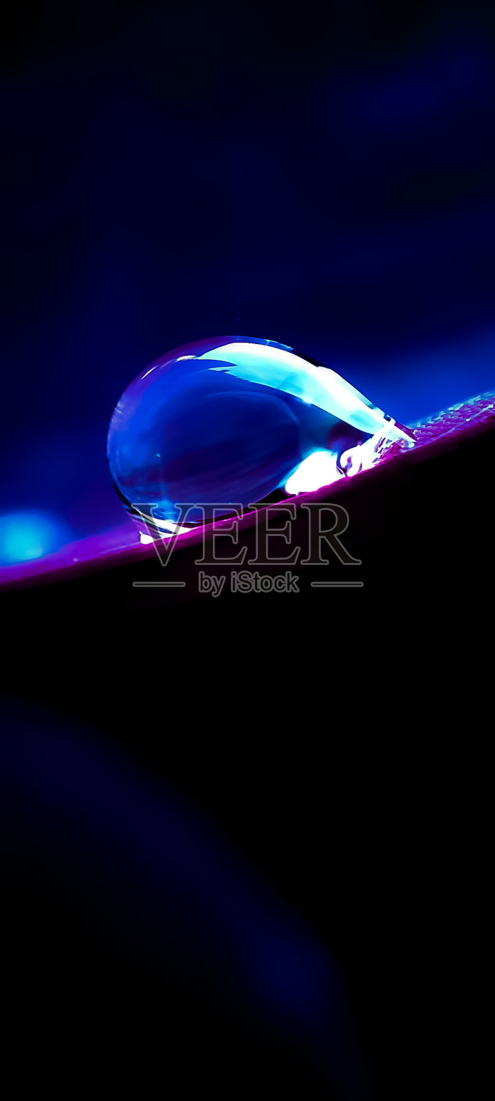 雨后照片摄影图片