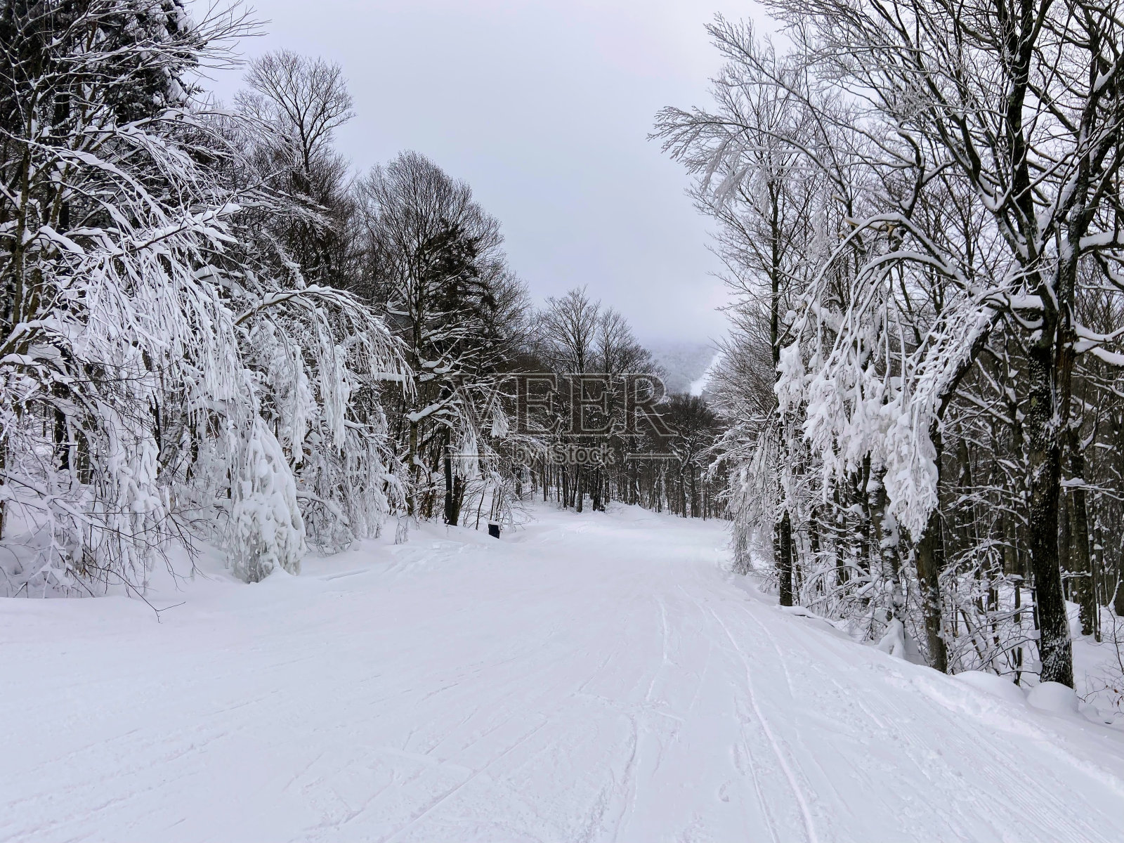佛蒙特州基灵顿的冬天照片摄影图片