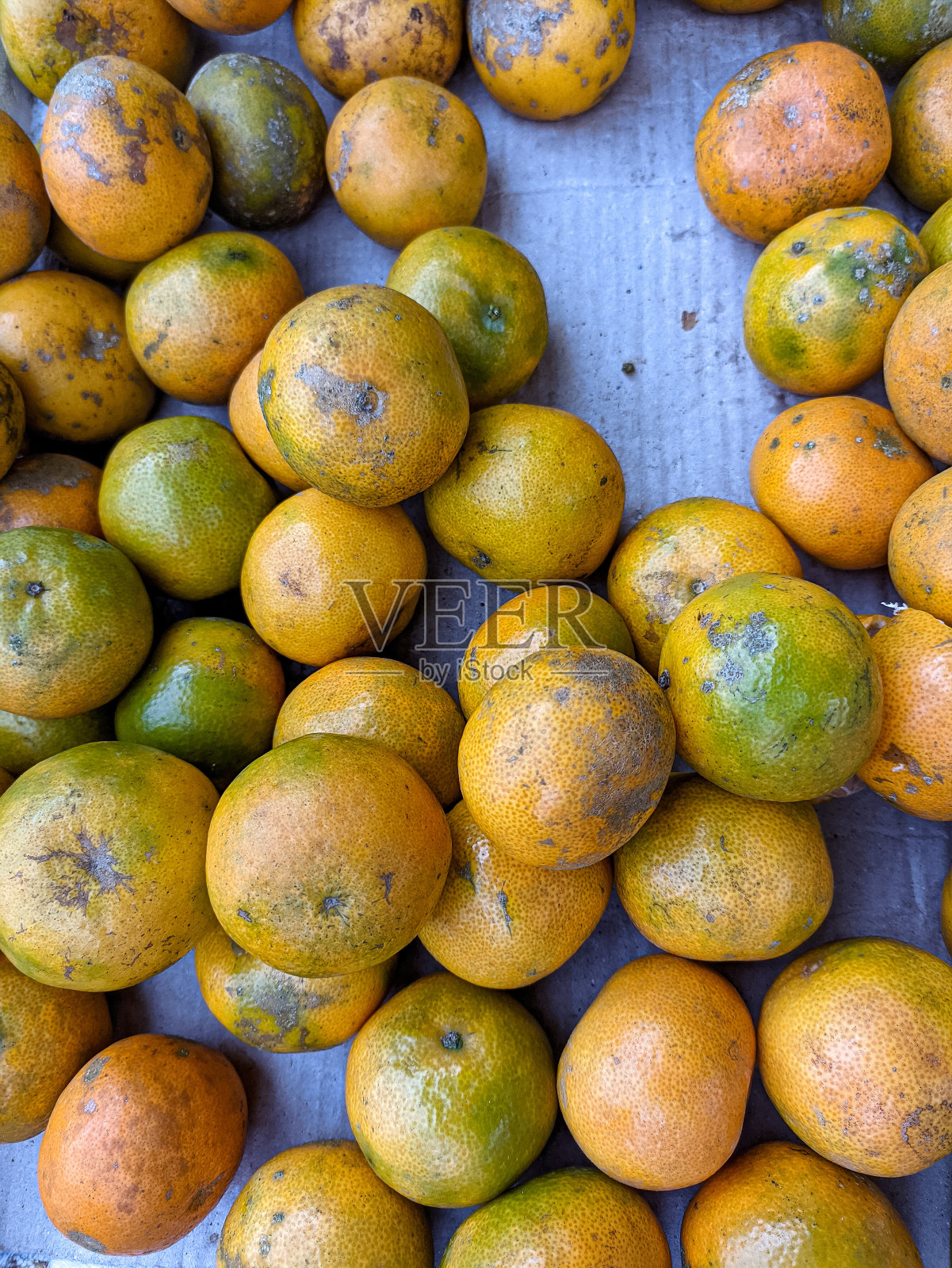 在市场上收集橘子照片摄影图片