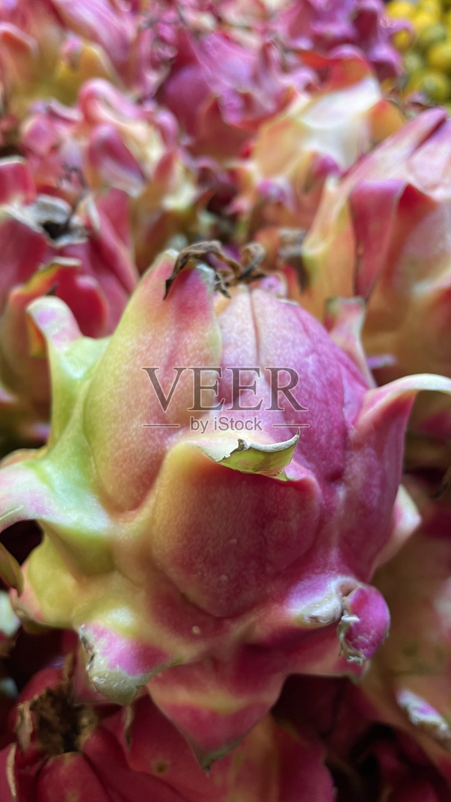 火龙果照片摄影图片