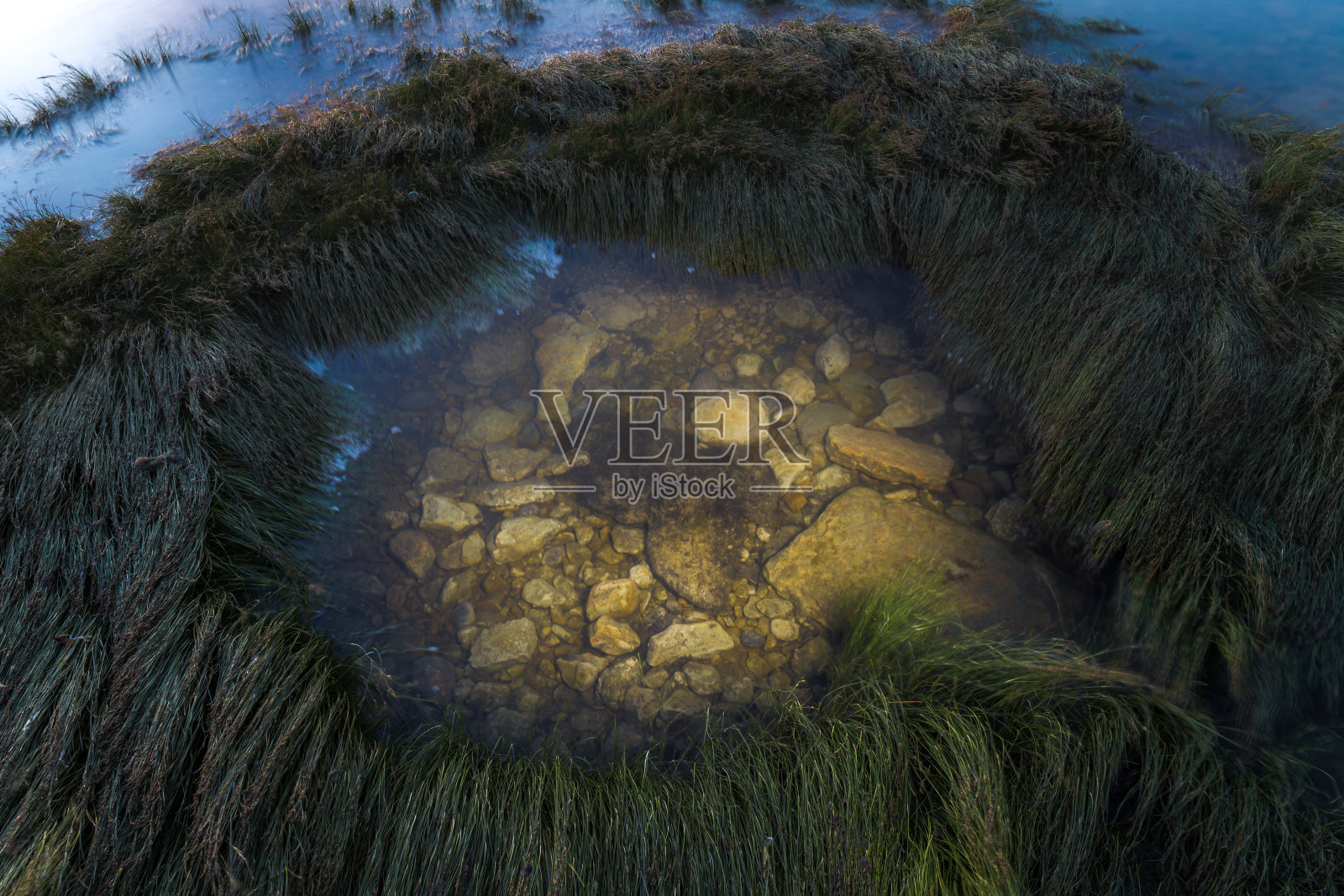 海边湿草有卵石，小水池有卵石照片摄影图片