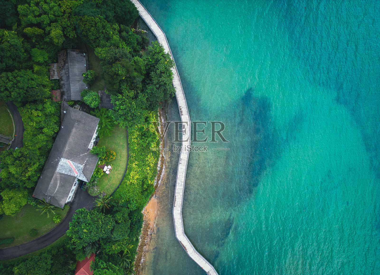 沿海岸线的木板桥和热带雨林照片摄影图片