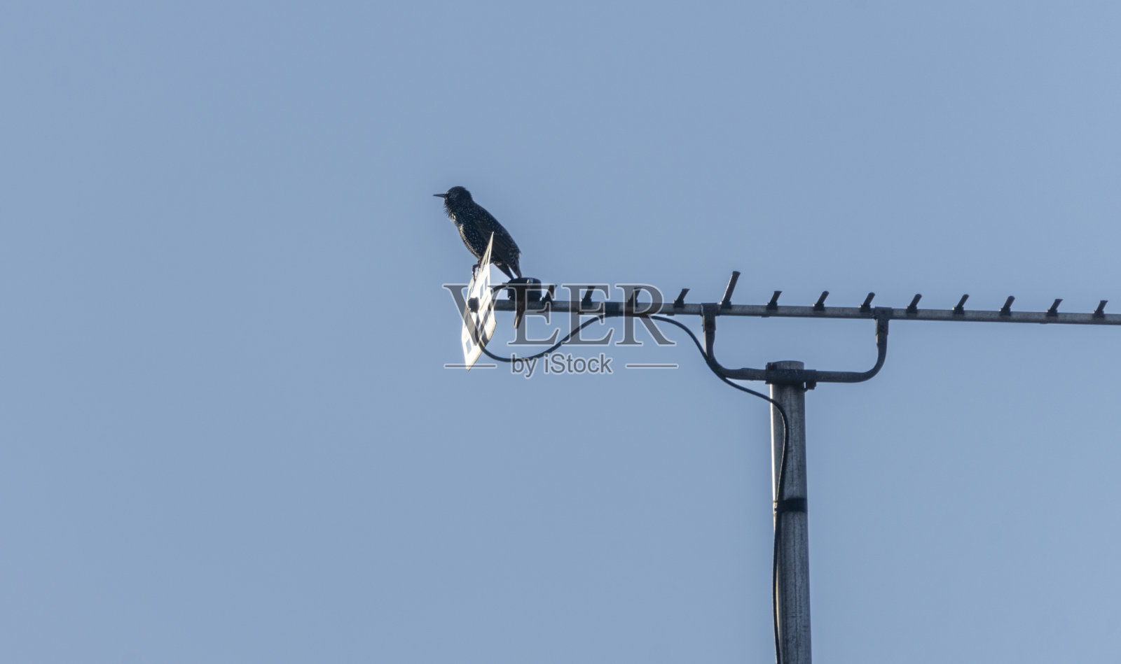 云梯上的星象照片摄影图片