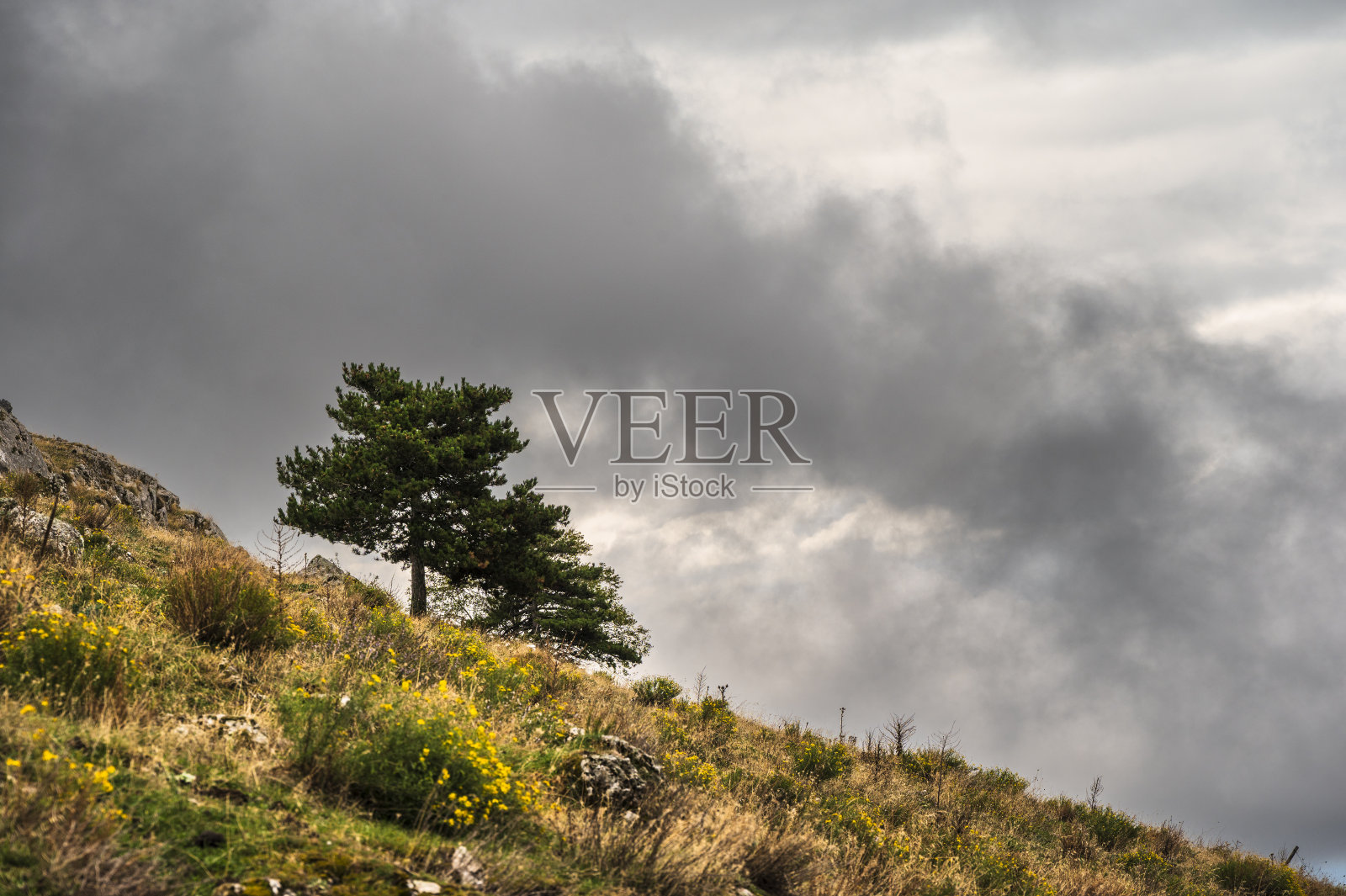 Volturino山，Val d'Agri, Basilicata的乡村景观照片摄影图片