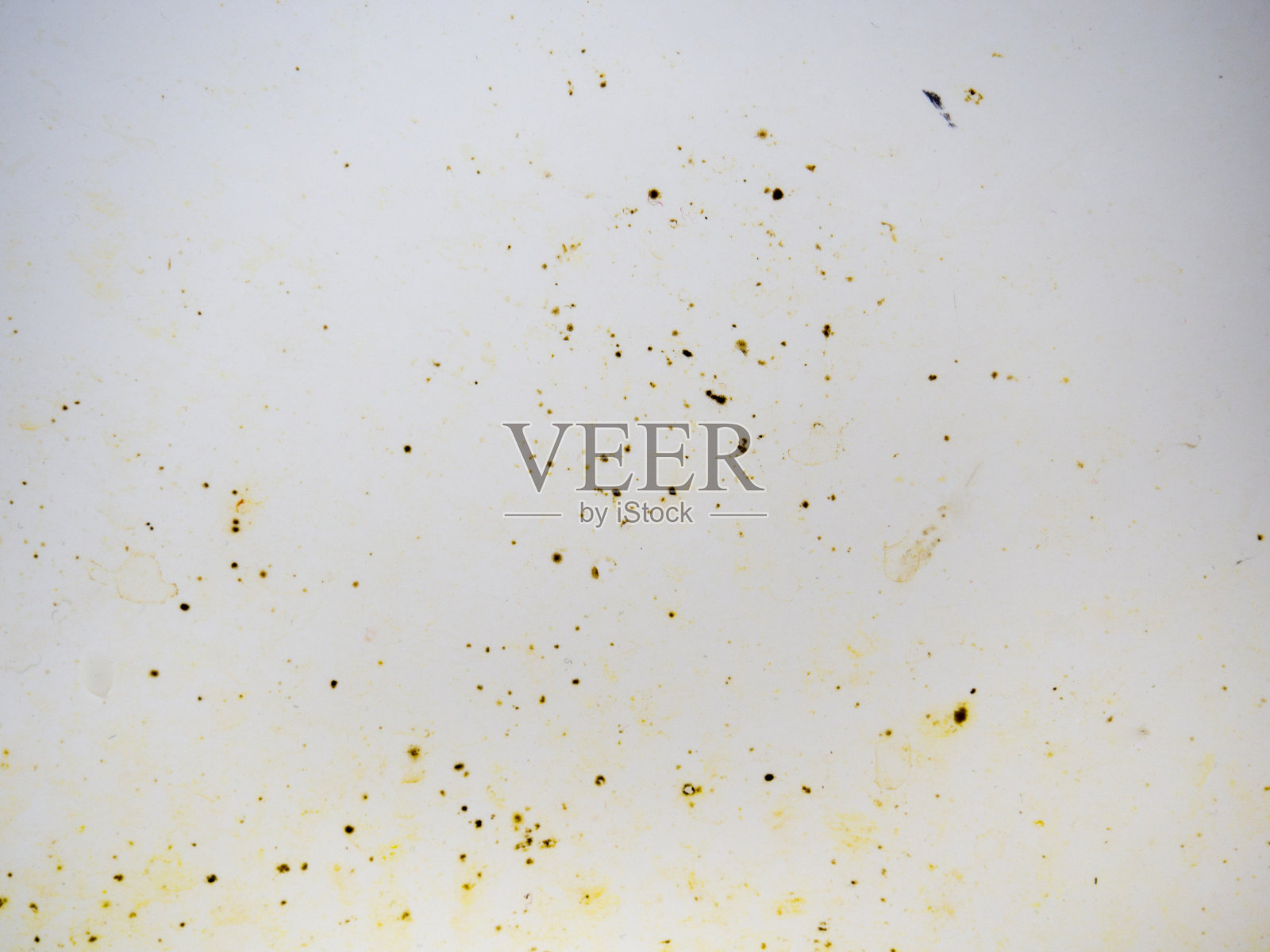 浴室珐琅上的霉菌。黑点的霉菌和黄色菌斑。需要清洗。使用清洁产品前。照片摄影图片