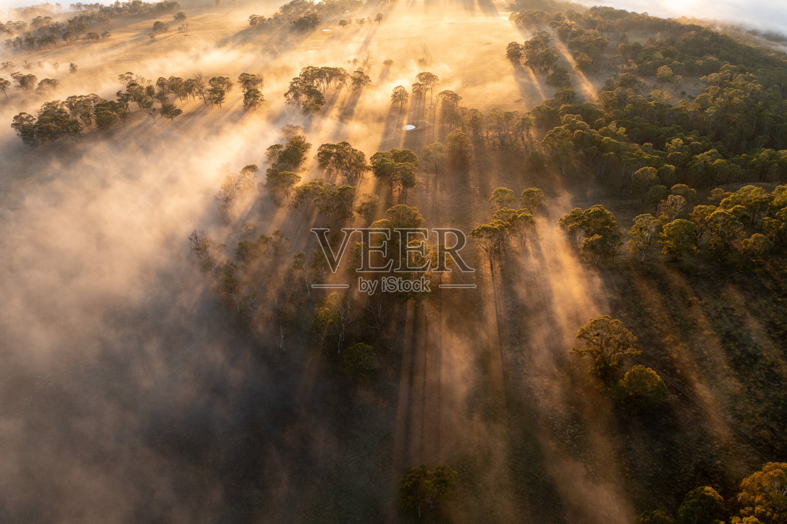 山谷里大雾弥漫的早晨照片摄影图片