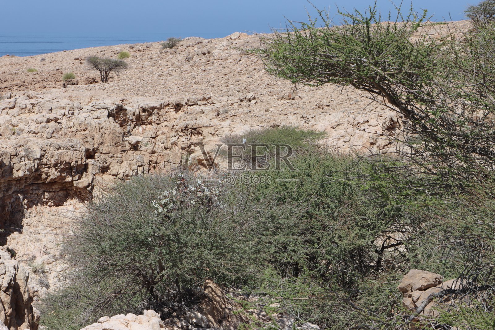 阿曼的粗糙海滩照片摄影图片