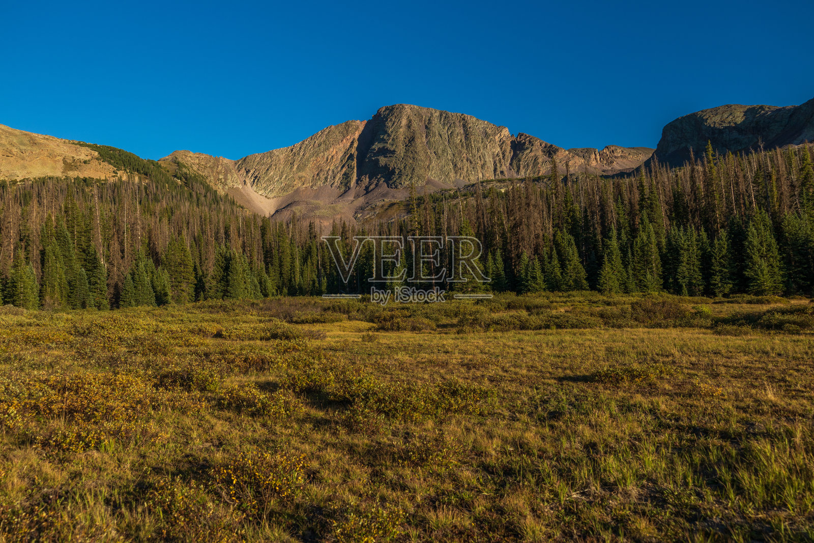 日落时的斯诺登峰，晴朗的天空和金色的草地照片摄影图片