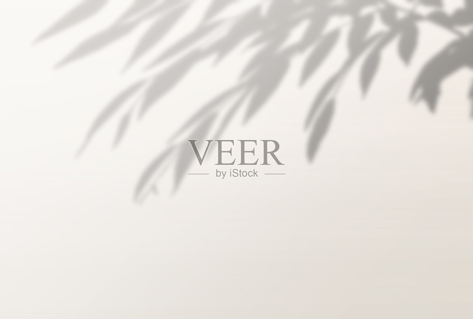 美丽的树影背景插图插画图片素材