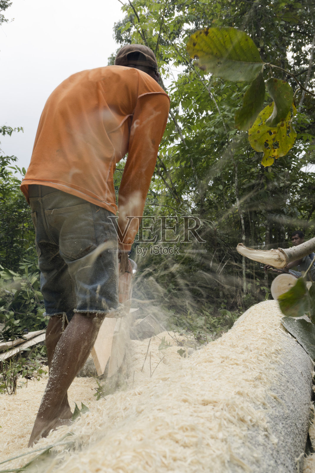 年轻人劈开木材与电锯机-库存照片照片摄影图片