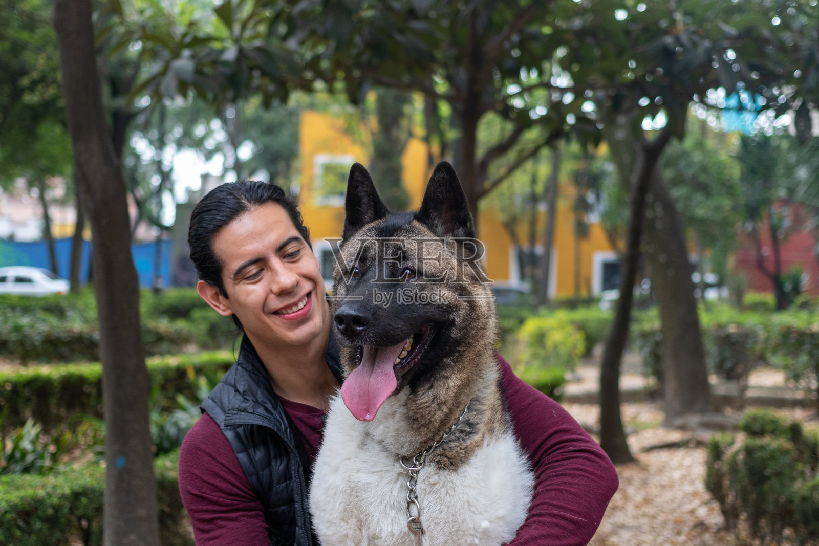 年轻的西班牙男子在公园里抚摸和抱着他的美国秋田犬照片摄影图片