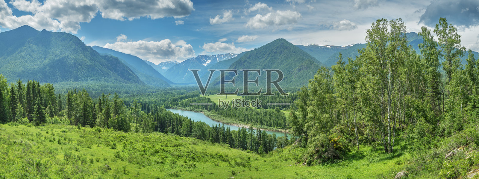 风景如画的山谷在阳光明媚的夏日，狂野的河流，全景照片摄影图片