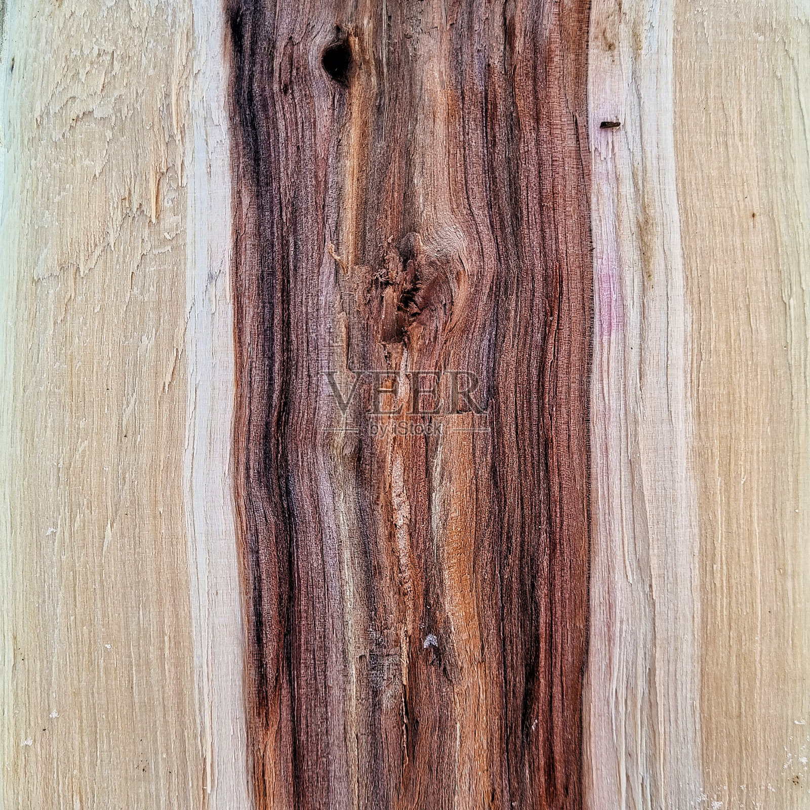 心材和边材的色差照片摄影图片