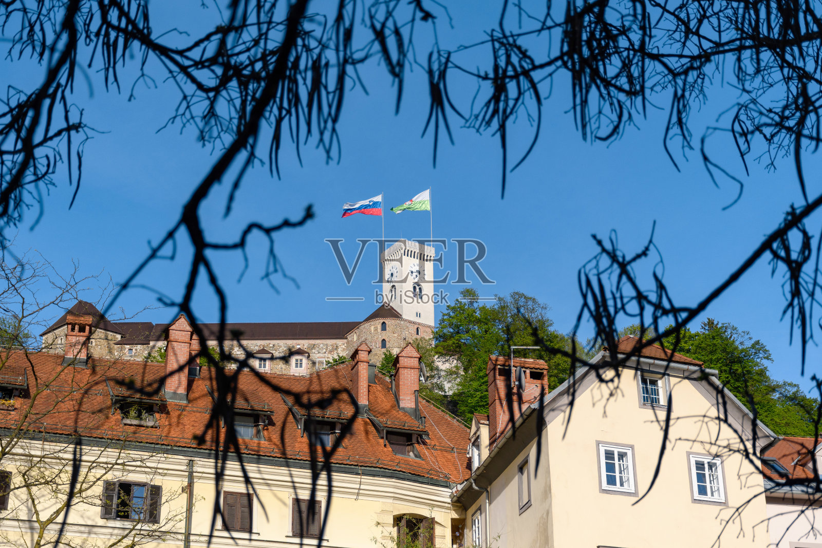 在春天或夏天阳光明媚的一天，卢布尔雅那城堡的低角度视图。照片摄影图片