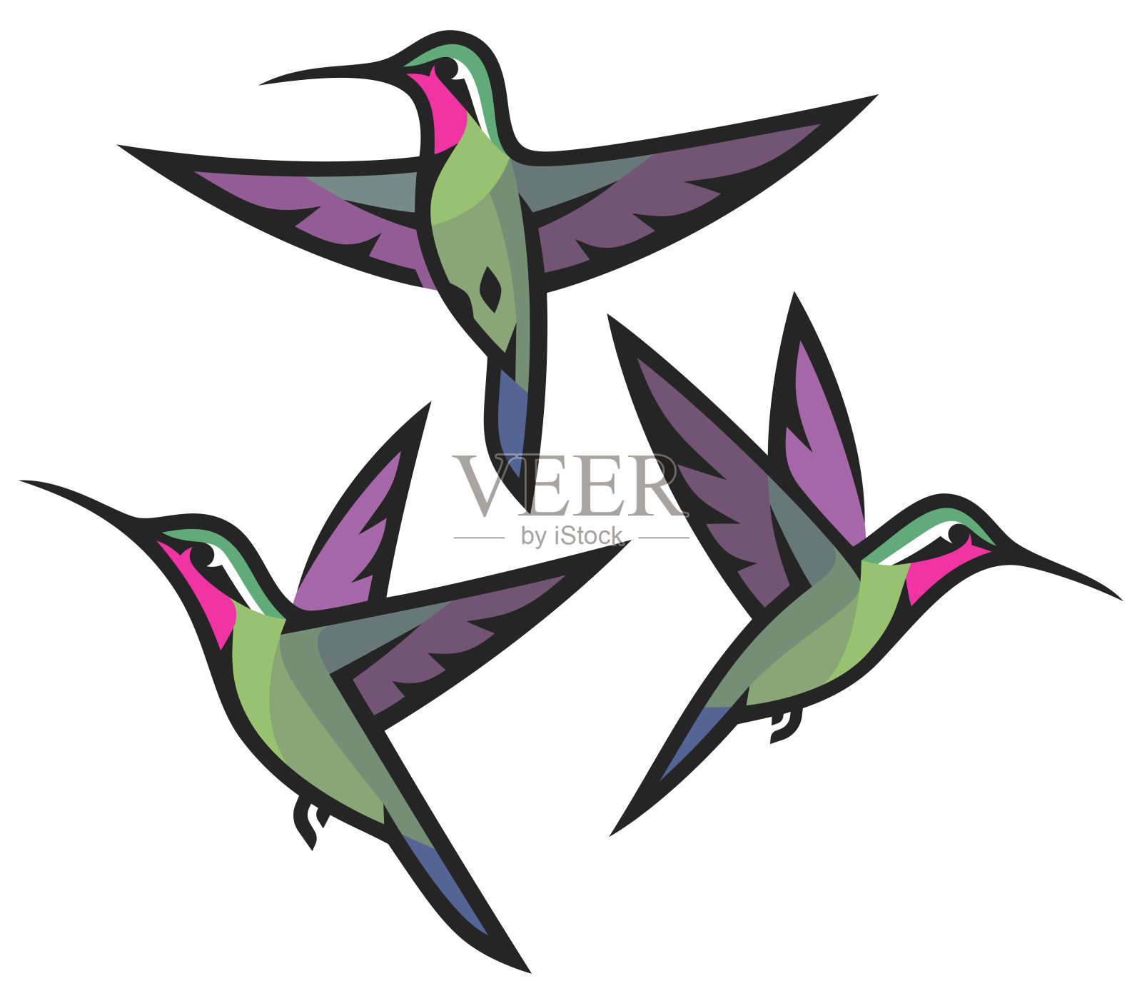 风格化的鸟类-蜂鸟插画图片素材